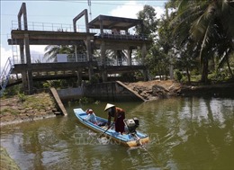 Xu thế xâm nhập mặn Đồng bằng sông Cửu Long diễn biến phức tạp