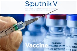 Đức đàm phán mua vaccine Sputnik V của Nga