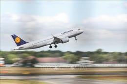 Lufthansa sử dụng công nghệ &#39;da cá mập&#39; trang bị cho máy bay để giảm khí thải