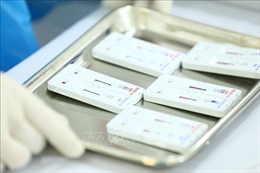 UNDP hỗ trợ Việt Nam hơn 1.500 bộ sinh phẩm xét nghiệm RT PCR