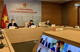 Đoàn Quốc hội Việt Nam dự Hội nghị Ủy ban các vấn đề nghị viện của APF 