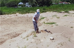 Phú Yên sớm cải lại tạo đất sản xuất đã bị cát bồi lấp sau lũ 