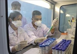 Bộ Y tế thành lập Tổ hỗ trợ công tác phòng, chống dịch COVID-19 tại Phú Yên