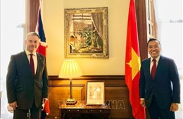 Thúc đẩy quan hệ Việt Nam - Anh đi vào chiều sâu, hiệu quả và thực chất hơn