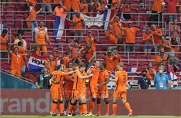 World Cup 2022: Hà Lan và Senegal được đánh giá cao nhất tại bảng A