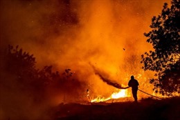 Cyprus khống chế được vụ cháy rừng nghiêm trọng nhất trong hàng chục năm qua