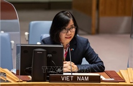 Việt Nam ủng hộ các nỗ lực ngoại giao thúc đẩy quay trở lại thực hiện JCPOA