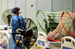 Ấn Độ, Chile ghi nhận số ca mắc COVID-19 giảm đáng kể