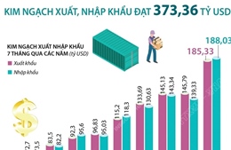 7 tháng năm 2021, tổng kim ngạch xuất nhập khẩu đạt 373,36 tỷ USD