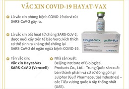 Vaccine COVID-19 Hayat-Vax