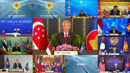 Singapore kêu gọi ASEAN, Ấn Độ tăng cường hợp tác về tài chính, thương mại