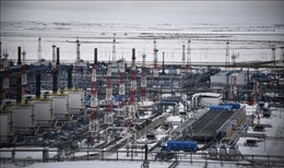 Châu Âu: Giá khí đốt giảm sau thông tin về Gazprom