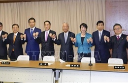 Đảng Dân chủ Tự do cầm quyền ở Nhật Bản công bố cương lĩnh tranh cử