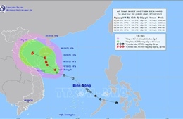 Quảng Trị hoàn thành sắp xếp tàu thuyền tránh trú trước 12 giờ ngày 7/10