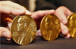 Nobel 2021: Hồi hộp chờ các chủ nhân giải thưởng lộ diện