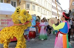Dấu ấn Việt Nam tại Lễ hội đa văn hóa thành phố Augsburg, Đức