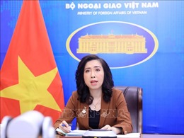 Họp báo thường kỳ Bộ Ngoại giao: Bảo hộ công dân Việt Nam gặp nạn tại Saudi Arabia