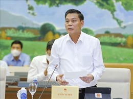 Cho ý kiến về thí điểm chính sách đặc thù với Hải Phòng, Nghệ An, Thừa Thiên-Huế
