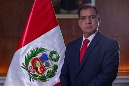 Bộ trưởng Nội vụ Peru từ chức vì vi phạm quy định phòng chống dịch COVID-19