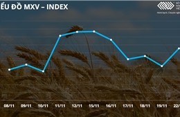 Bản tin MXV 23/11: Lúa mì tăng mạnh trong phiên đầu tuần do áp lực nguồn cung 