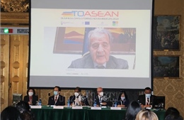 Thúc đẩy trao đổi thương mại, đầu tư giữa địa phương của Italy và ASEAN