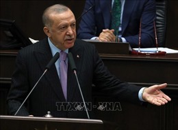 Tổng thống Thổ Nhĩ Kỳ bổ nhiệm Bộ trưởng Tài chính mới