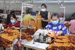 Nhiều doanh nghiệp Trà Vinh trở lại sản xuất bình thường mới