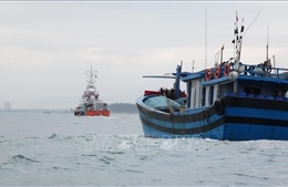 Cứu nạn thành công 11 thuyền viên tàu cá gặp nạn trên biển