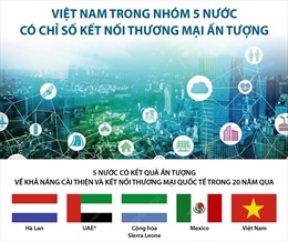 Việt Nam trong nhóm 5 nước có chỉ số kết nối thương mại ấn tượng