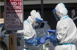 Tình hình dịch COVID-19 ngày 12/12