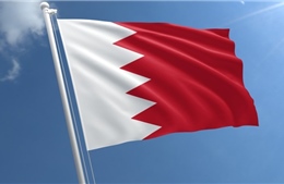 Điện mừng Quốc khánh Bahrain