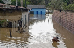 Mưa lớn kéo dài ảnh hưởng tới cuộc sống của hàng trăm nghìn dân tại Brazil
