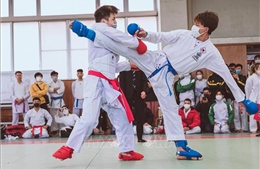 Đại hội Karate người Việt Nam tại Nhật Bản