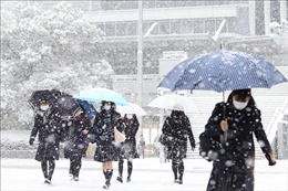 Tuyết rơi dày kỷ lục tại Nhật Bản làm giao thông đình trệ