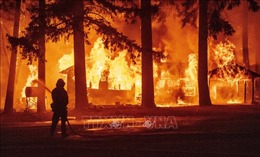 Cháy rừng gây thiệt hại nghiêm trọng tại Mỹ