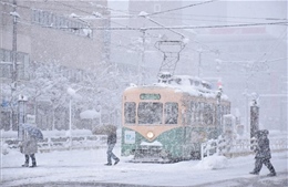 Thời tiết khắc nghiệt tiếp tục làm đình trệ giao thông tại Nhật Bản 