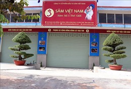 Công ty sâm Việt Nam trồng sâm trên giấy: &#39;Né&#39; kiểm tra