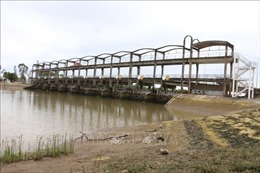 Khuyến nghị những giải pháp cho sụt lún và xâm nhập mặn ở đồng bằng sông Cửu Long