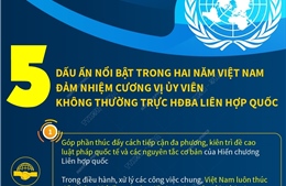 5 dấu ấn nổi bật của Việt Nam khi đảm nhiệm cương vị Ủy viên không thường trực HĐBA Liên hợp quốc