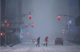 Bang New York (Mỹ) hạn chế hoạt động đường bộ, đường không do bão tuyết 