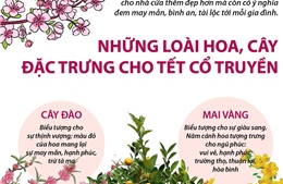 Những loài hoa, cây đặc trưng cho Tết cổ truyền