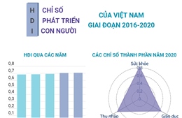 Chỉ số phát triển con người của Việt Nam giai đoạn 2016-2020