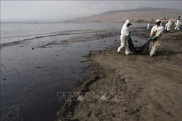 Peru giám sát sự cố tràn dầu do rò rỉ đường ống dẫn dầu chính
