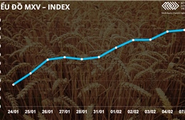 Bản tin MXV 08/02: Giá kim loại diễn biến trái chiều