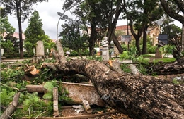 Madagascar: Số người thiệt mạng do bão Batsirai đã lên tới 80