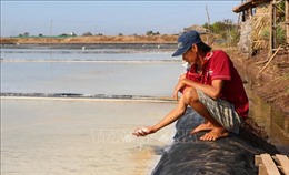 Diêm dân Bạc Liêu đối mặt với vụ sản xuất muối thất bát
