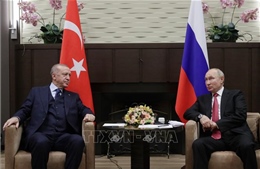 Thổ Nhĩ Kỳ sẵn sàng thúc đẩy giải pháp hòa bình cho xung đột tại Ukraine