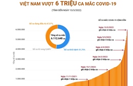 Việt Nam vượt 6 triệu ca mắc COVID-19
