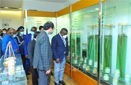 Tổng thống nước Cộng hòa Sierra Leone thăm Viện Khoa học Nông nghiệp Việt Nam