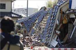 Nhật Bản đánh giá thiệt hại sau trận động đất độ lớn 7,4